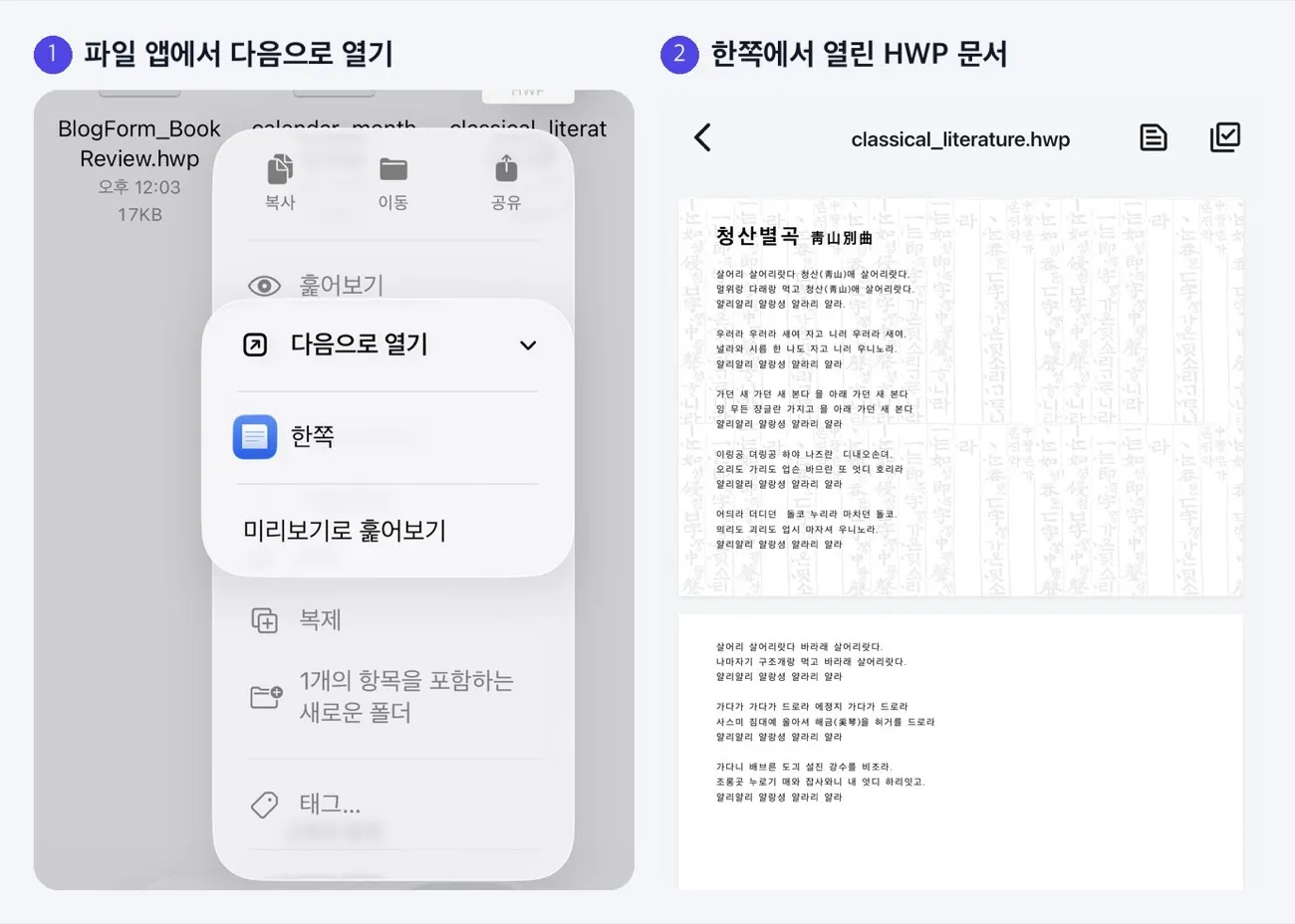 iPhone 파일 앱의 「다음으로 열기」에서 한쪽을 고르는 화면